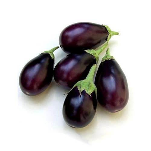 Fresh Brinjal