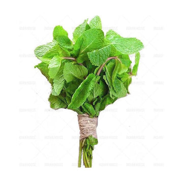 Fresh Mint