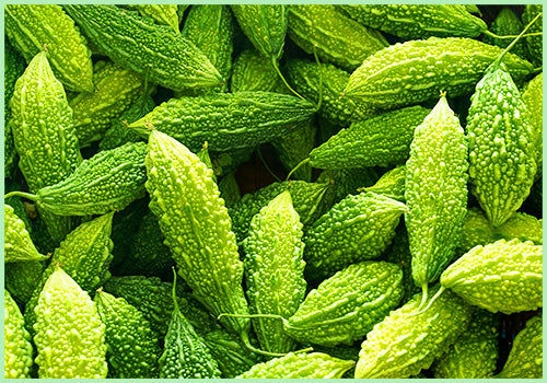 Fresh Karela