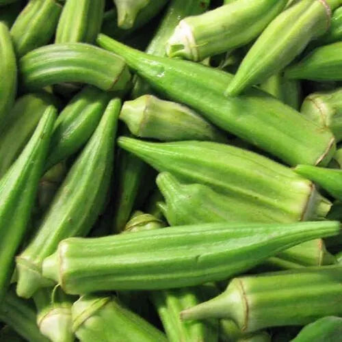 Fresh Okra